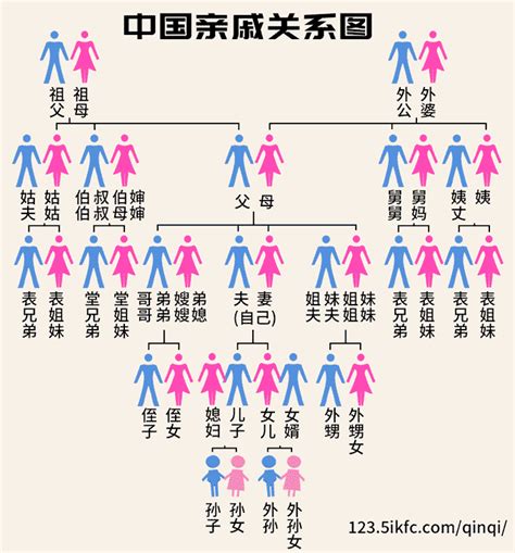 家庭叫法|家族輩分稱謂表